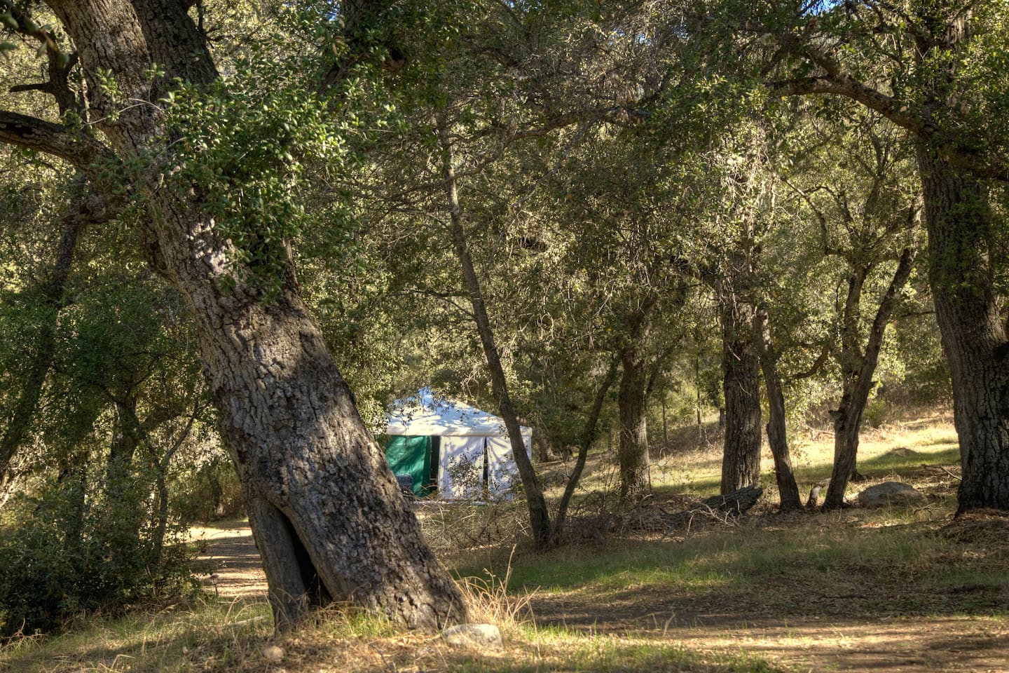 harrison-serenity-ranch-bunk-house/
