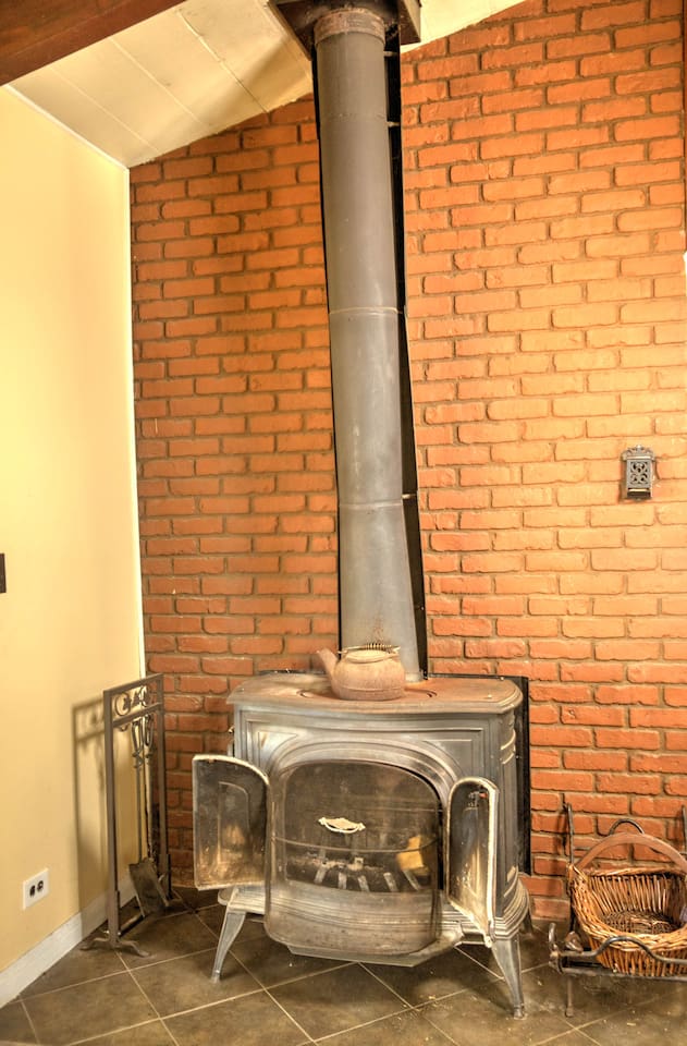 Wood burning fire place