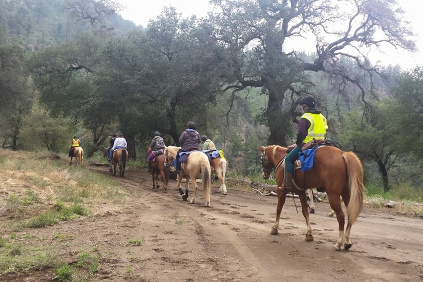 harrison-serenity-ranch-large-group-accommodation/