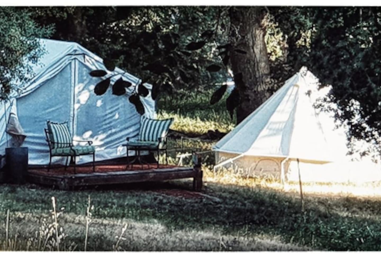 Historic Rustic Cabin w/ Spectacular Views - Palomar Mountain