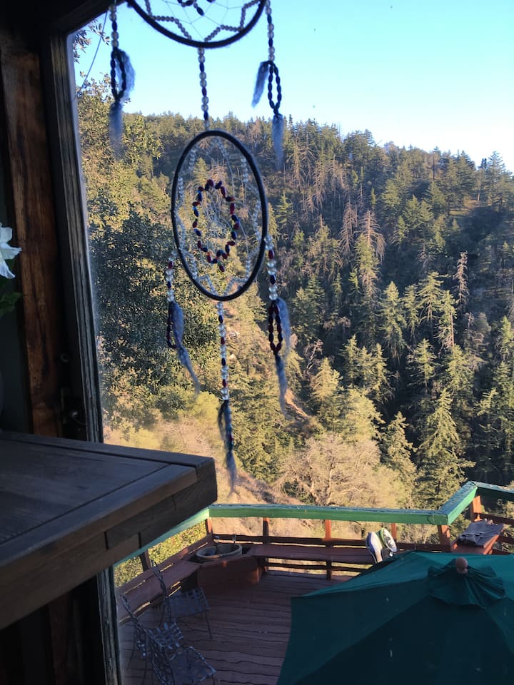 historic-rustic-cabin-w-spectacular-views/