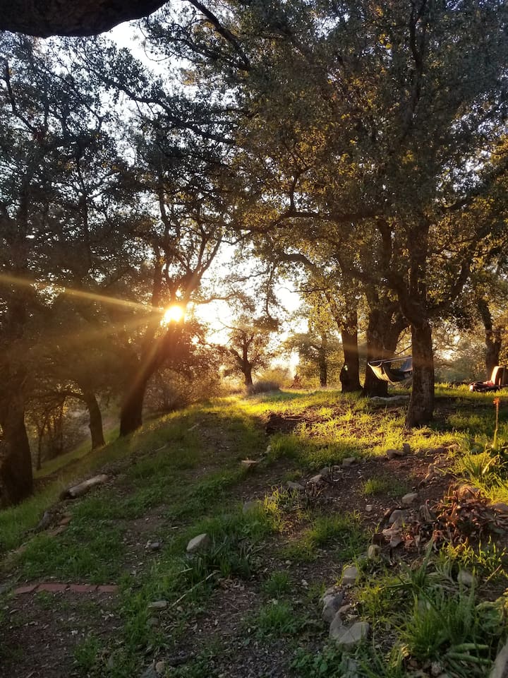 Late afternoon is always a beautiful time up on the mountain 