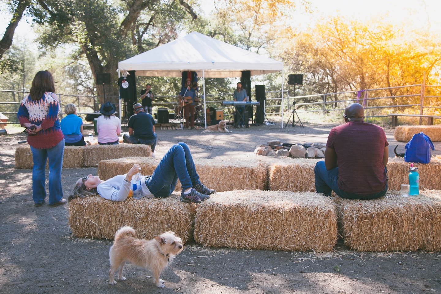 A great afternoon of music in the corral