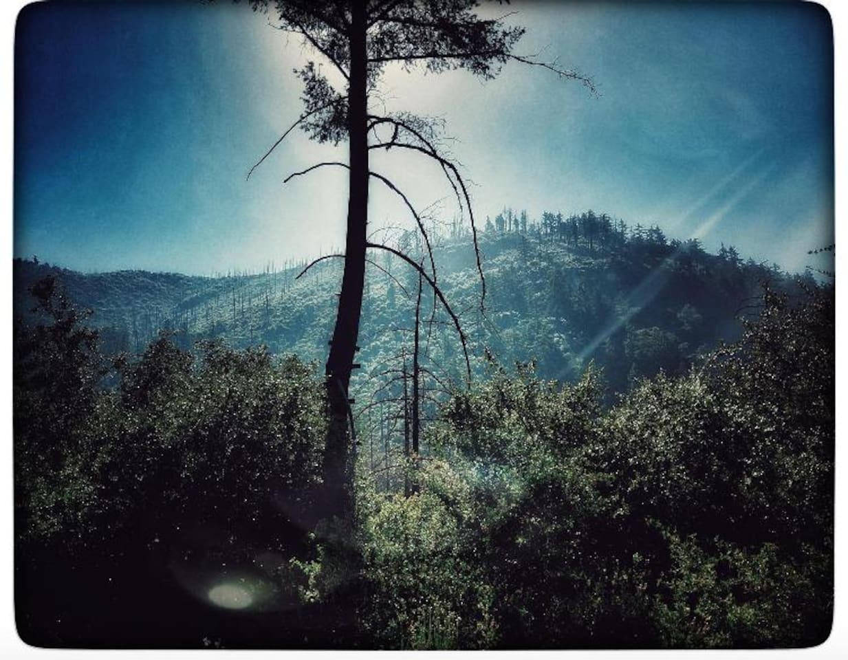 Historic Rustic Cabin w/ Spectacular Views - Palomar Mountain