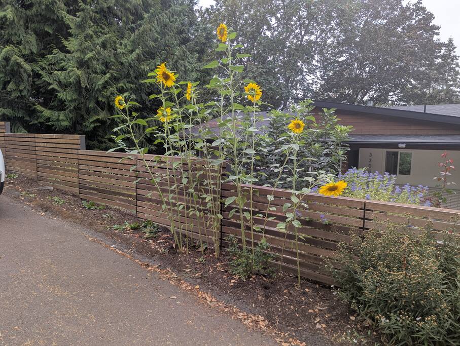 mid-mod-urban-retreat-10-mins-to-downtown-pdx/