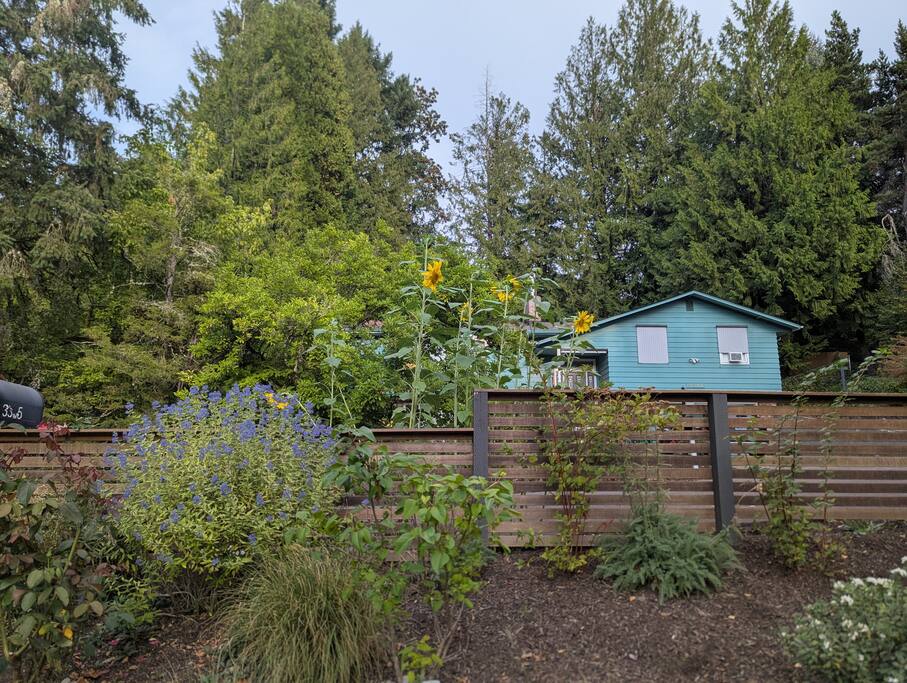 mid-mod-urban-retreat-10-mins-to-downtown-pdx/