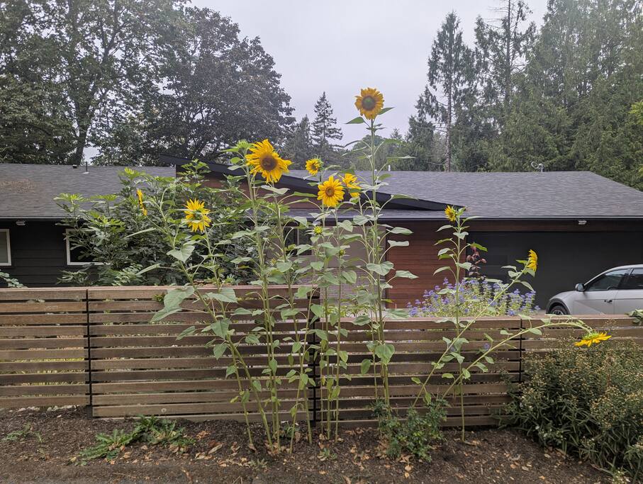 mid-mod-urban-retreat-10-mins-to-downtown-pdx/