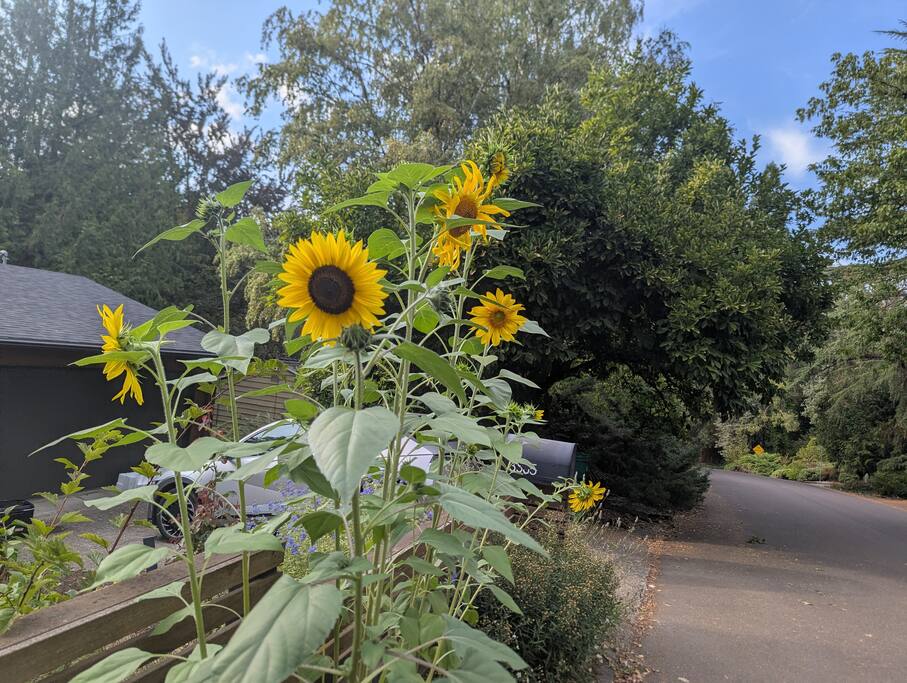 mid-mod-urban-retreat-10-mins-to-downtown-pdx/