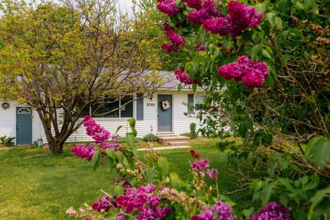 View of the front door and the lilacs that fill the front yard each spring. 