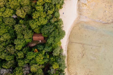 Overhead view of private beachfront and wooded property