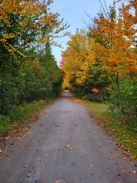 Le Héron - Waterfront Lake Nominingue