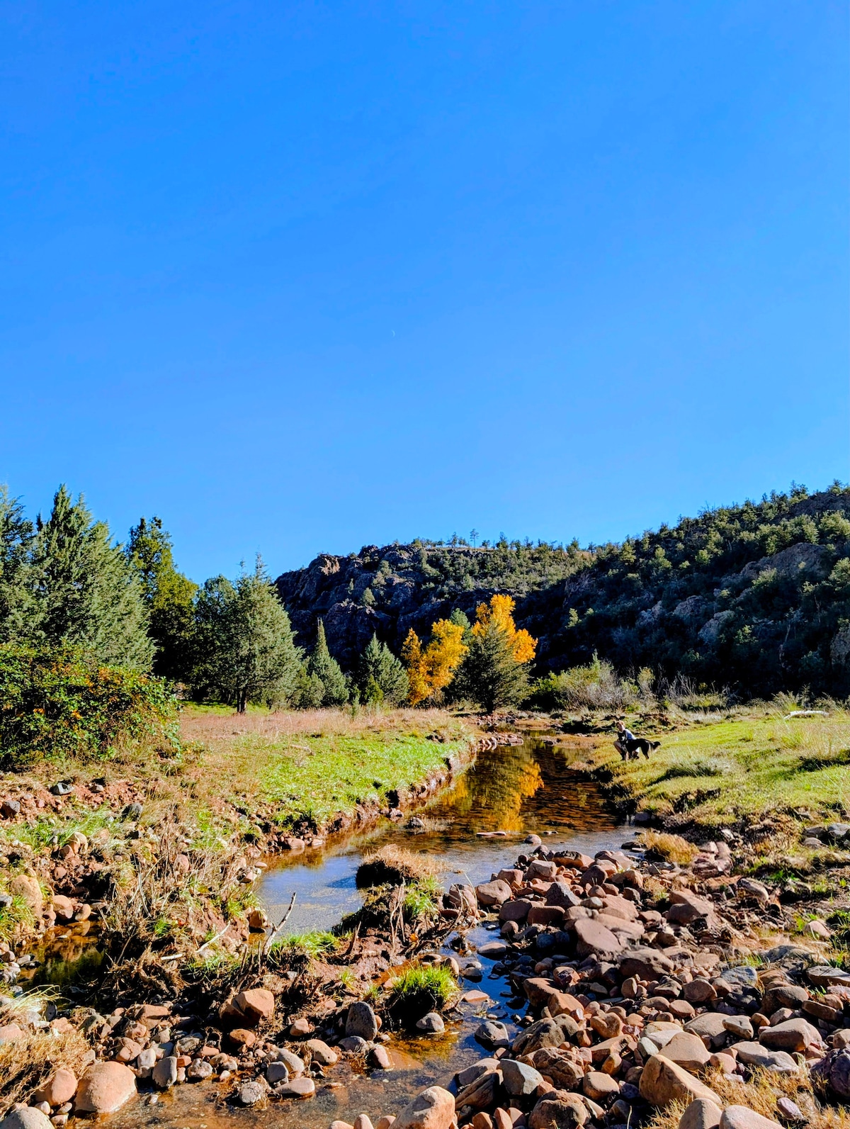 Pine Creek Cottage image 54