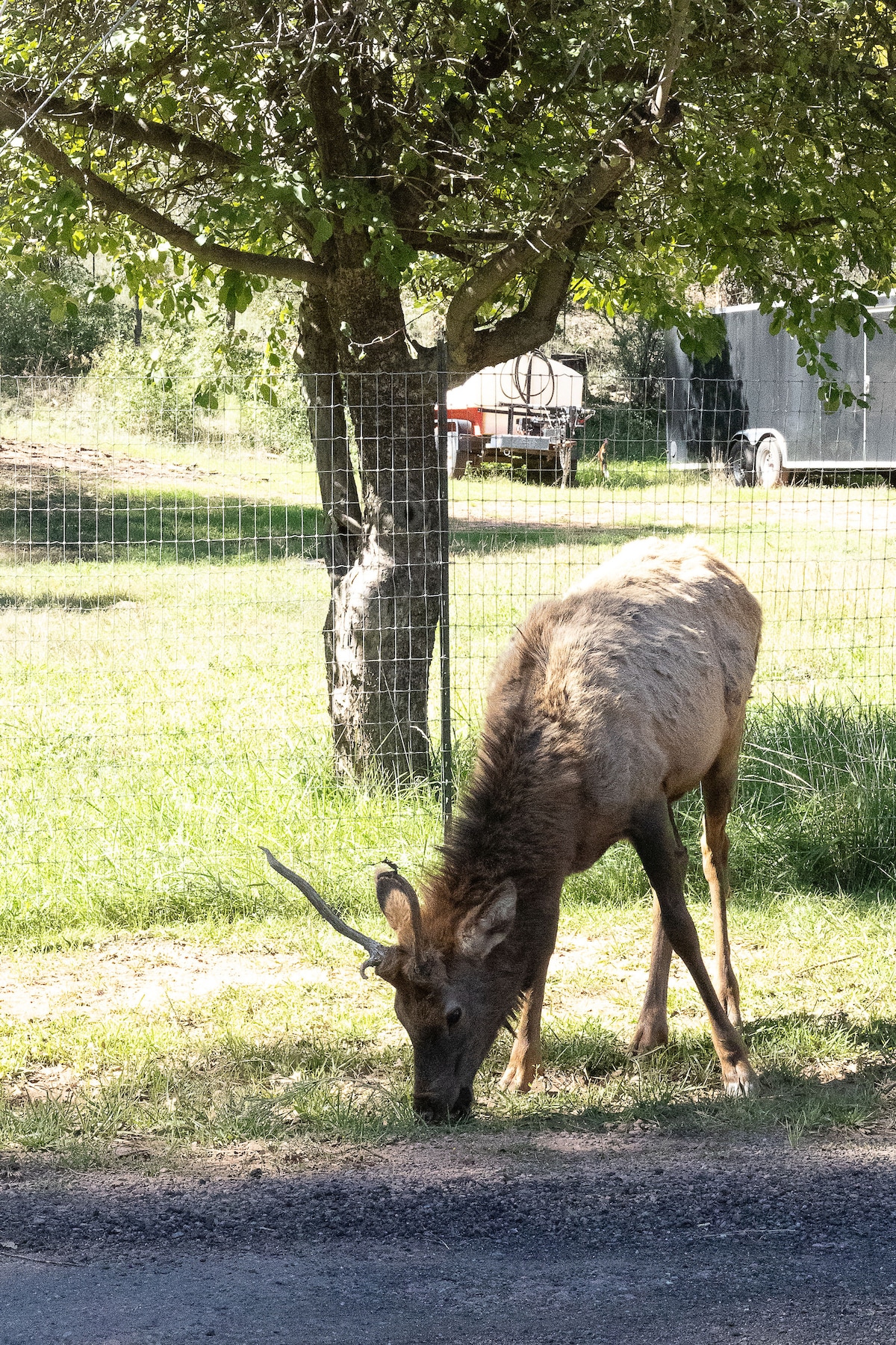 Pine Creek Cottage image 49