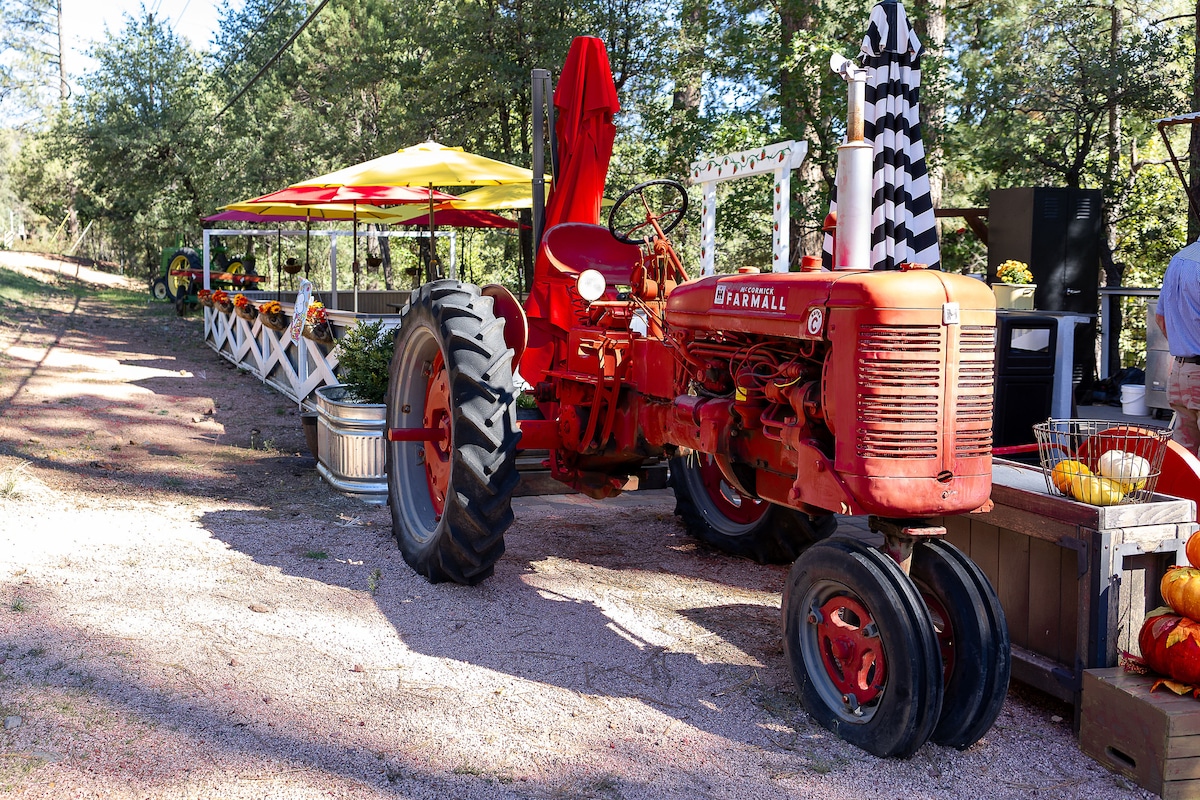 Pine Creek Cottage image 58