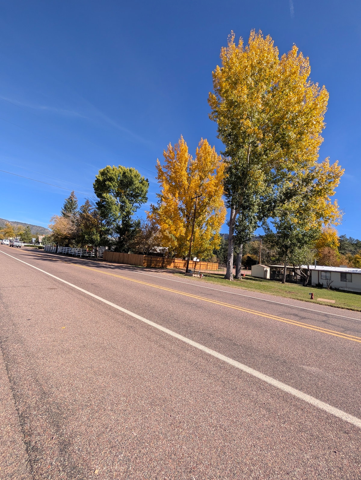 Pine Creek Cottage image 56