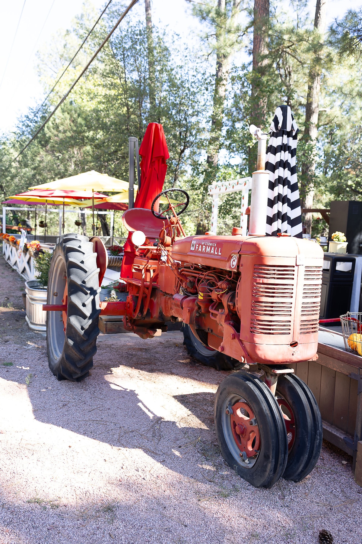 Pine Creek Cottage image 59