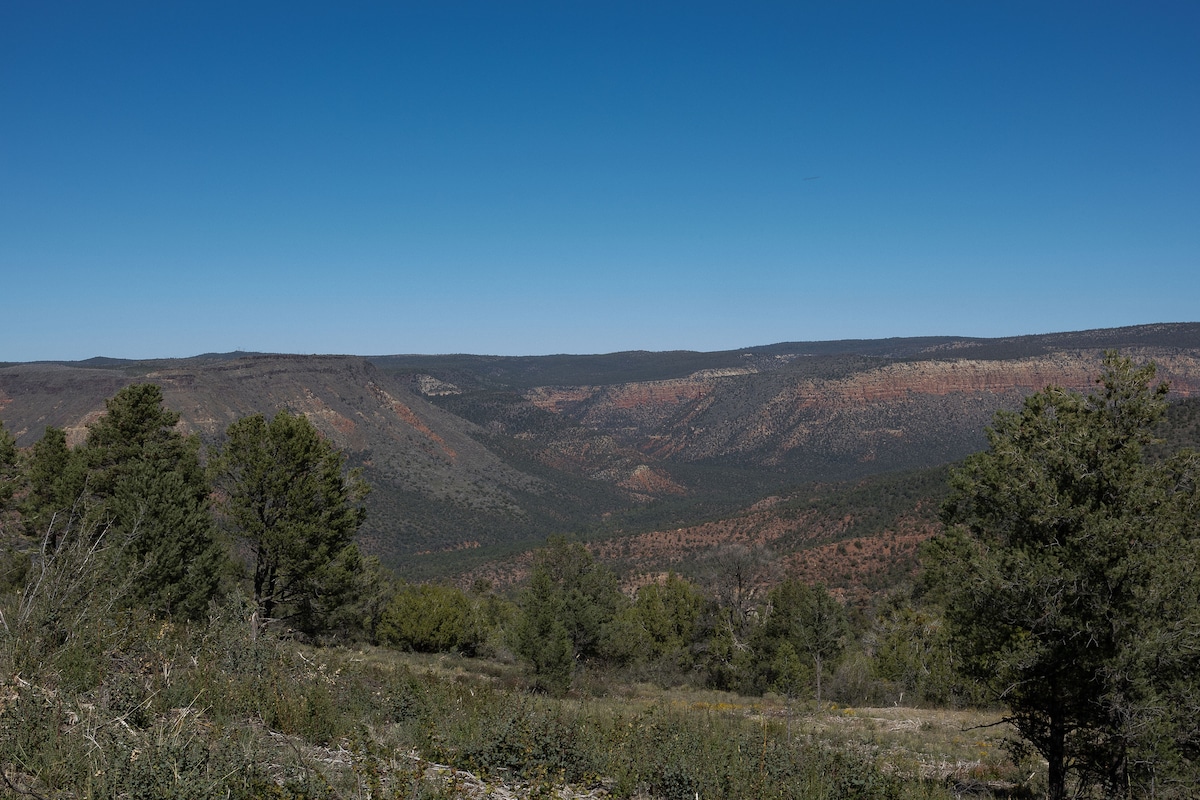 Pine Creek Cottage image 61