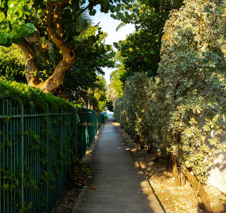 Beach access walkway - Beachy Paradise l Pool l 4BD - Pompano Beach