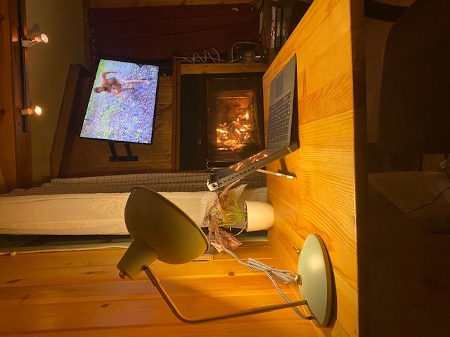 charming-cabin-retreat-or-pets-+-pines-+-lake/