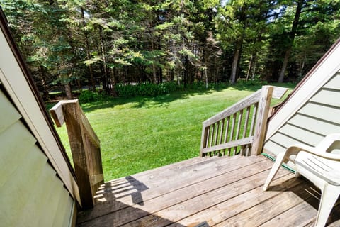 Shamrock 74 Pet-Friendly Fireplace Slope Access
