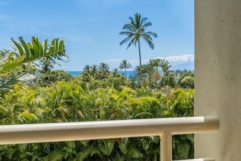 Gem near Keawakapu Beach - Privacy and Ocean Views image 2