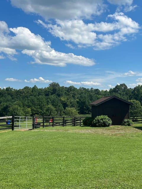 The Tiny Home @ The Pines Horse Farm