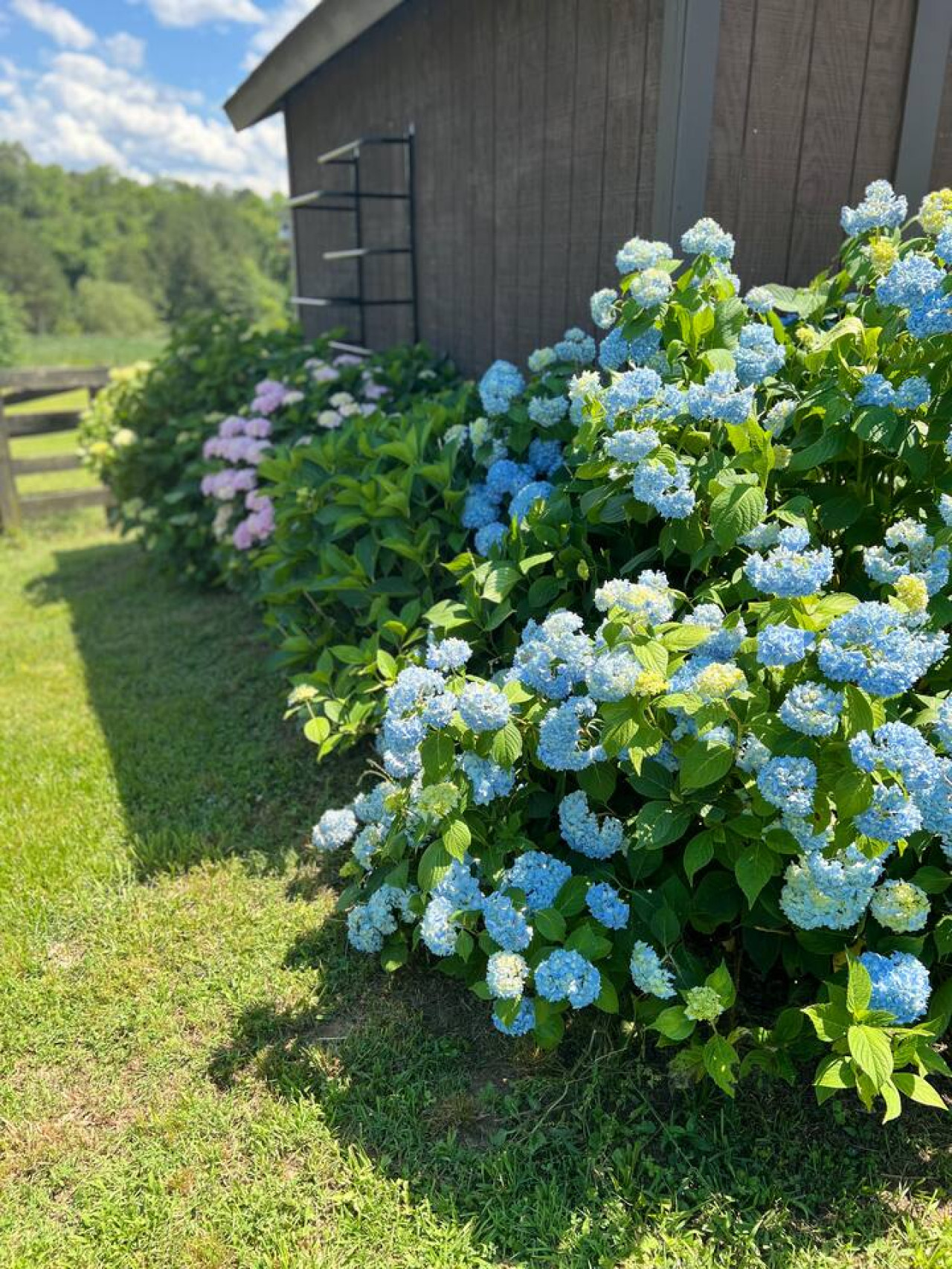 tiny-home-at-the-pines-horse-farm/
