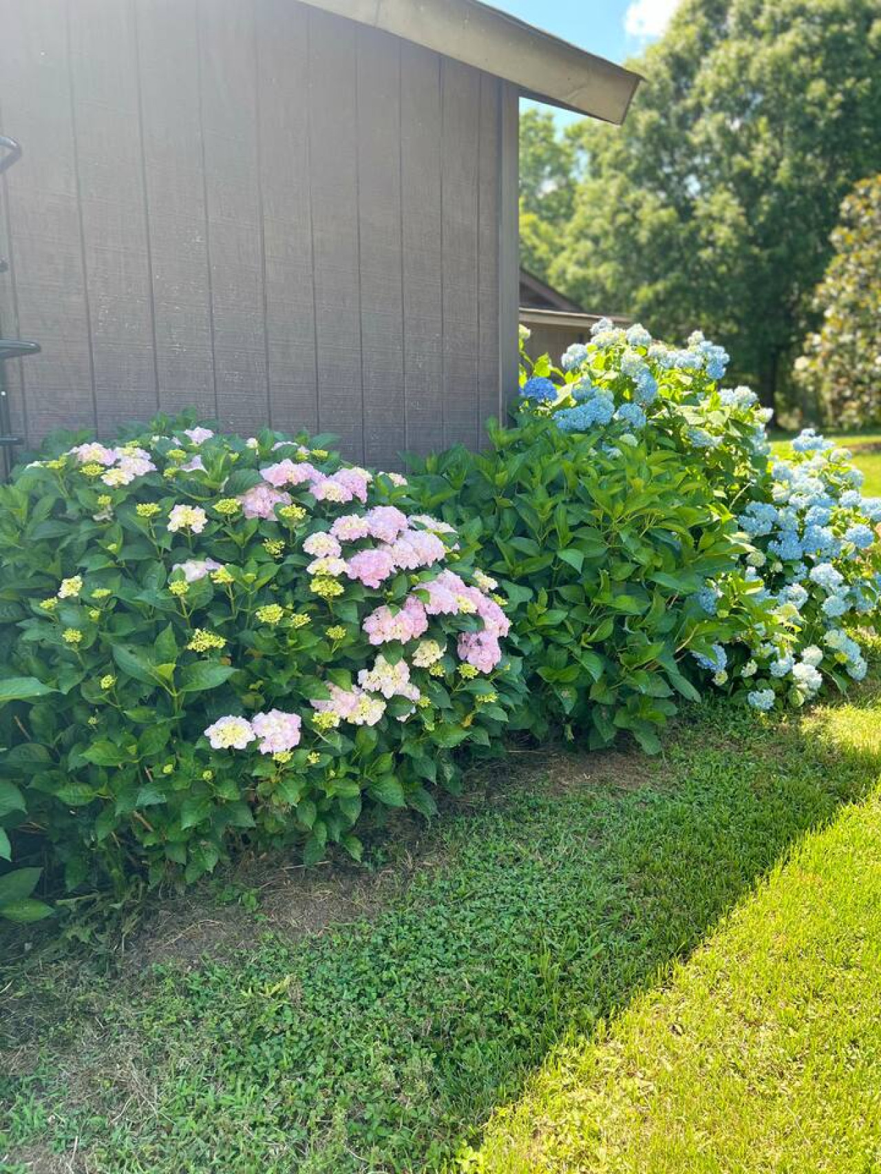 tiny-home-at-the-pines-horse-farm/