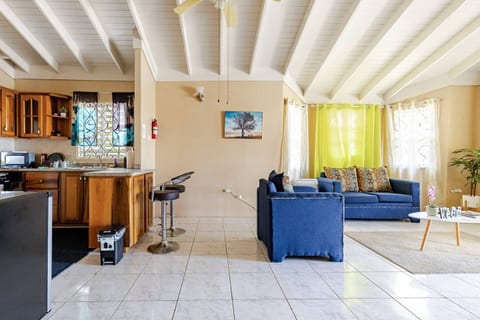 Private Tranquil Home Near Dunn's River