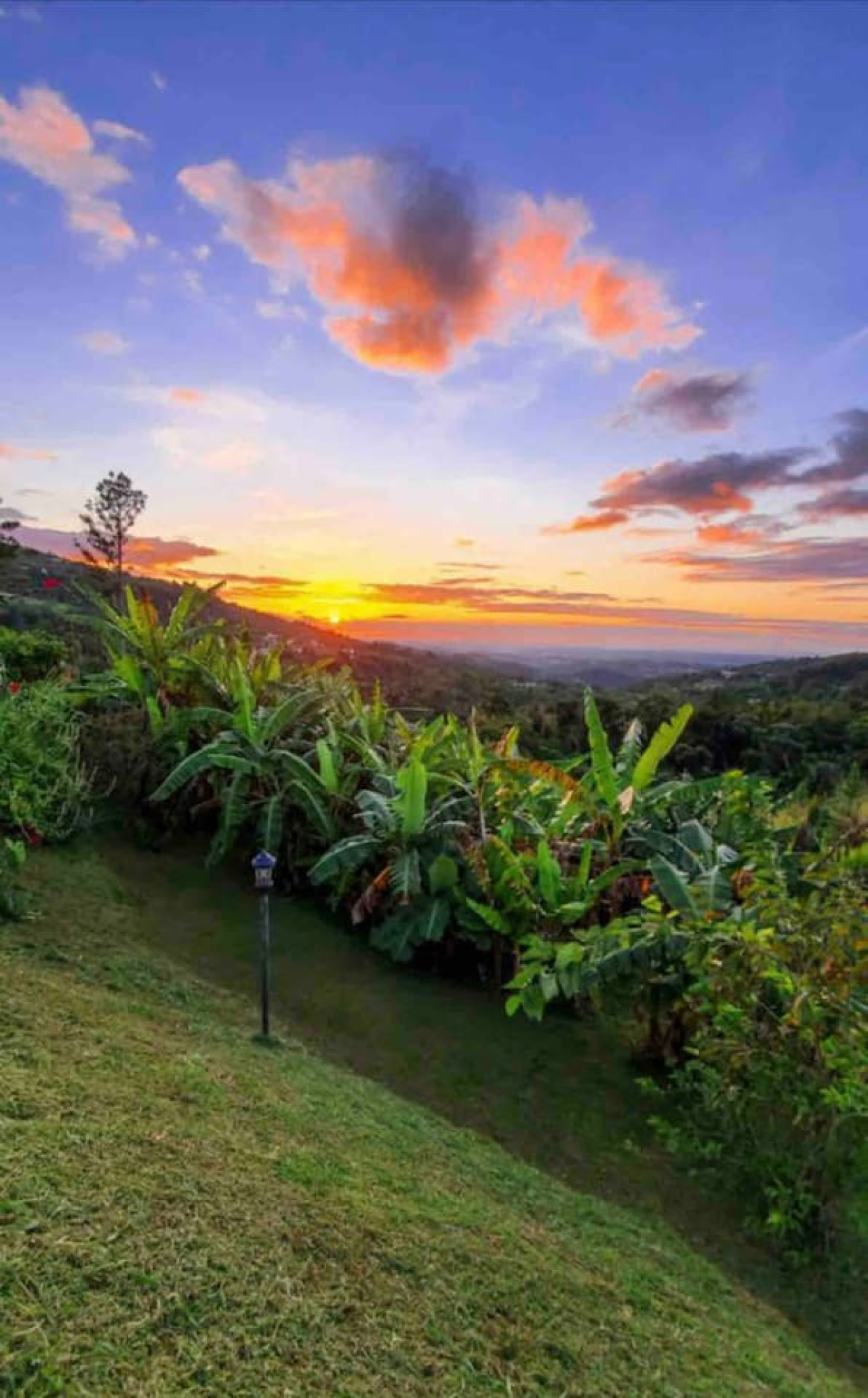 private-luxury-villa-in-el-yunque-rainforestpool-and-generator/