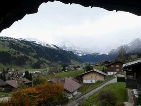 View