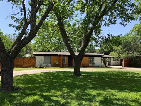 Mature Pecan Trees for Shade.