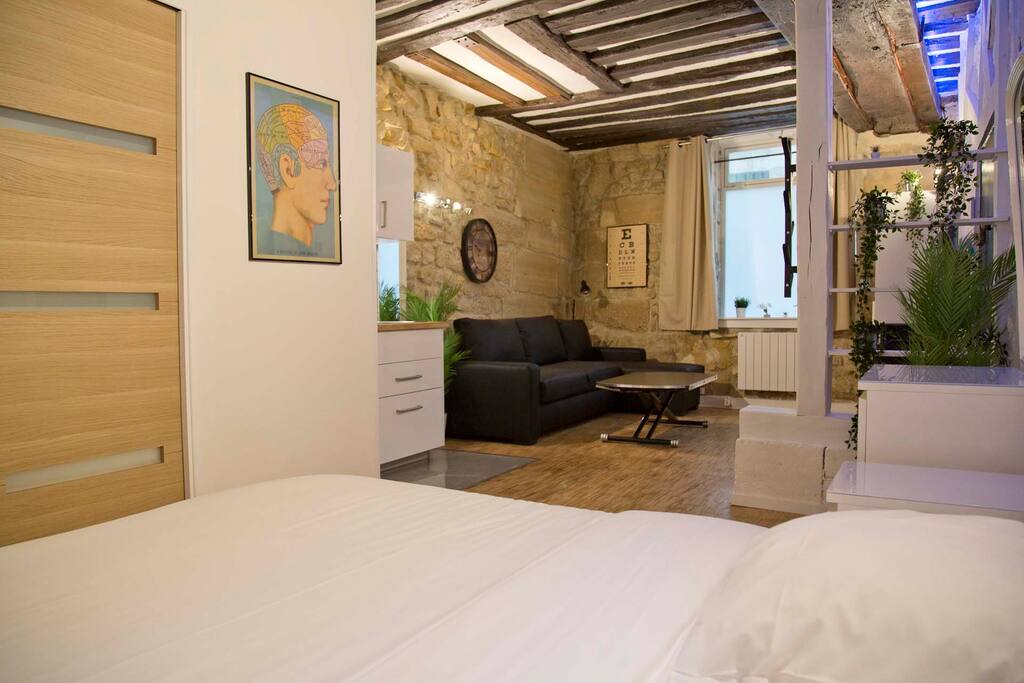 Valentine - Authentic Design Large Studio Notre-Dame Seine Walk