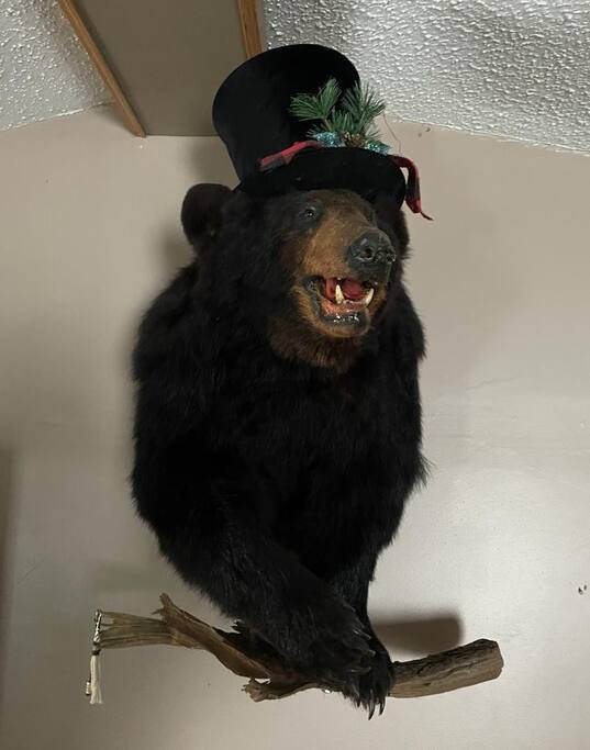 rustic-hogback-hideaway-or-fire-pit-or-grill/