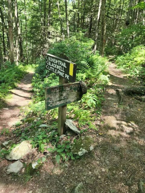Connector trail to the West Rim Trail.  Trail head is just a few hundred yards from the front porch. 