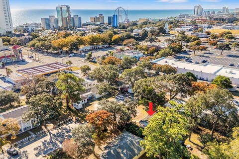 Beachy Central, Near Beach, 2 King Beds, Crib, Huge Private Yard, Patio, Porch, BBQ, & Firepit