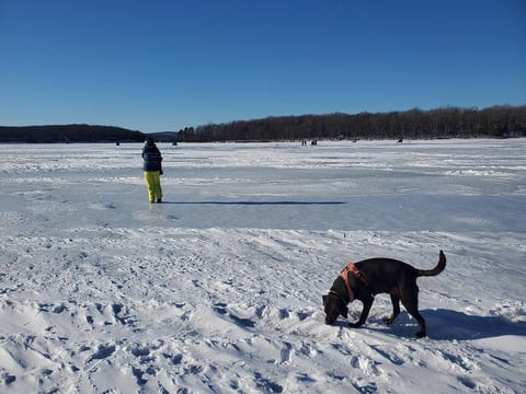 Sunset View: Lakefront Pet-Friendly | Dock