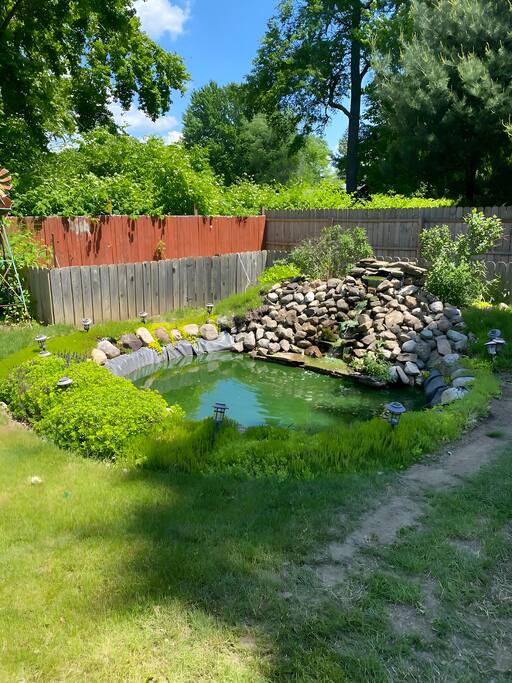 tranquil-pondside-escape/