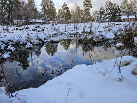 Pine Kissed Cabin | Furnished Monthly Rental in Pinetop-Lakeside