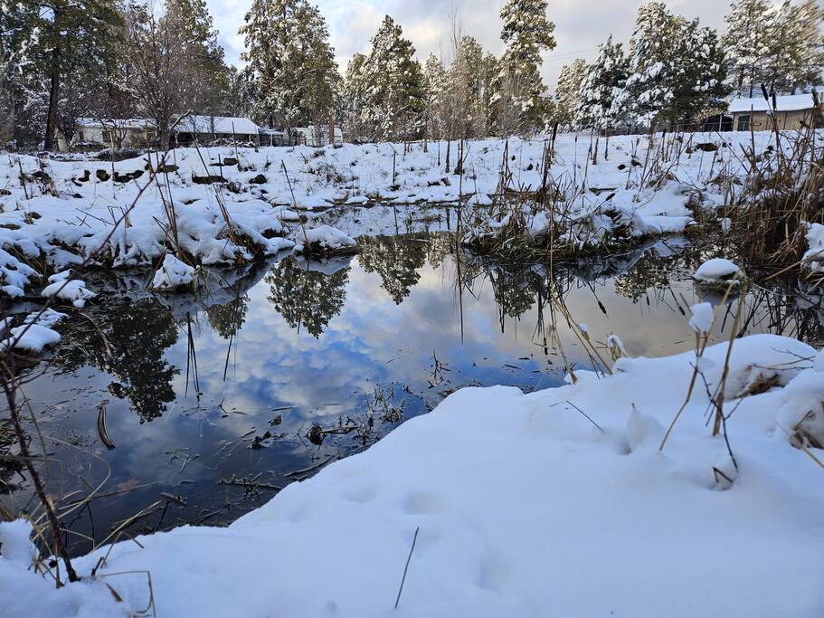 rustic-charm-cabin-*-pinetop-lakeside-retreat/