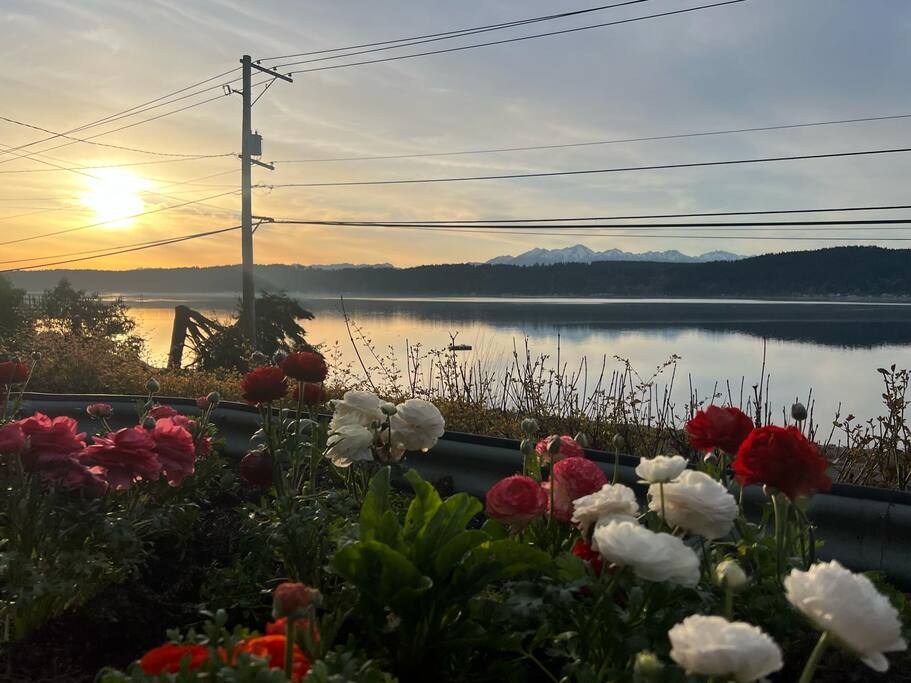 waterfront-bliss-on-coastal-hood-canal/