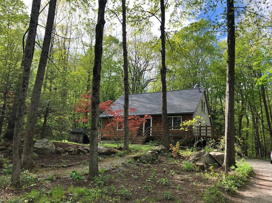 berkshires-cottage-or-trails-and-water-nearby/