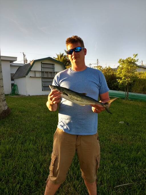 Spanish Mackeral 