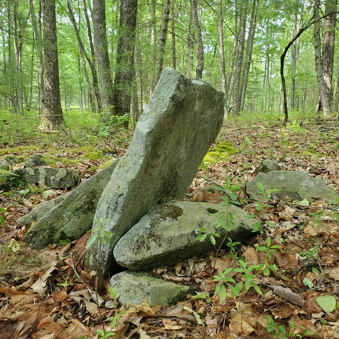 lumberland-lodge-*-nature-escape-+-hiking/