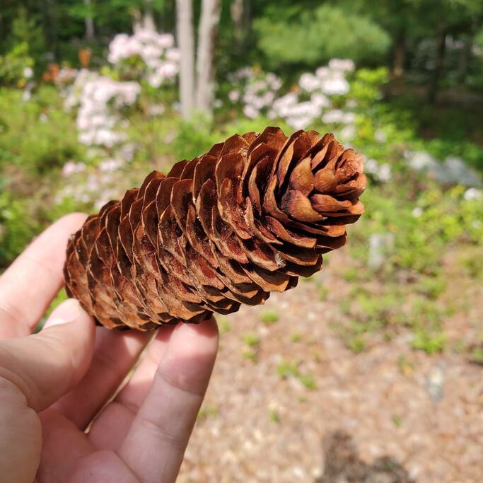 lumberland-lodge-*-nature-escape-+-hiking/