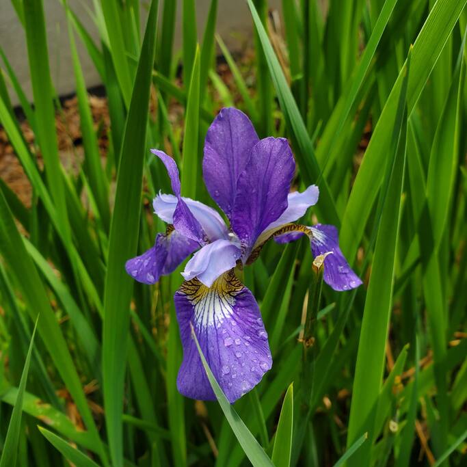 lumberland-lodge-*-nature-escape-+-hiking/