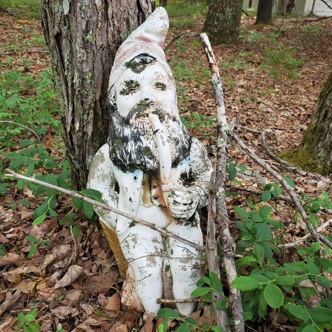 lumberland-lodge-*-nature-escape-+-hiking/