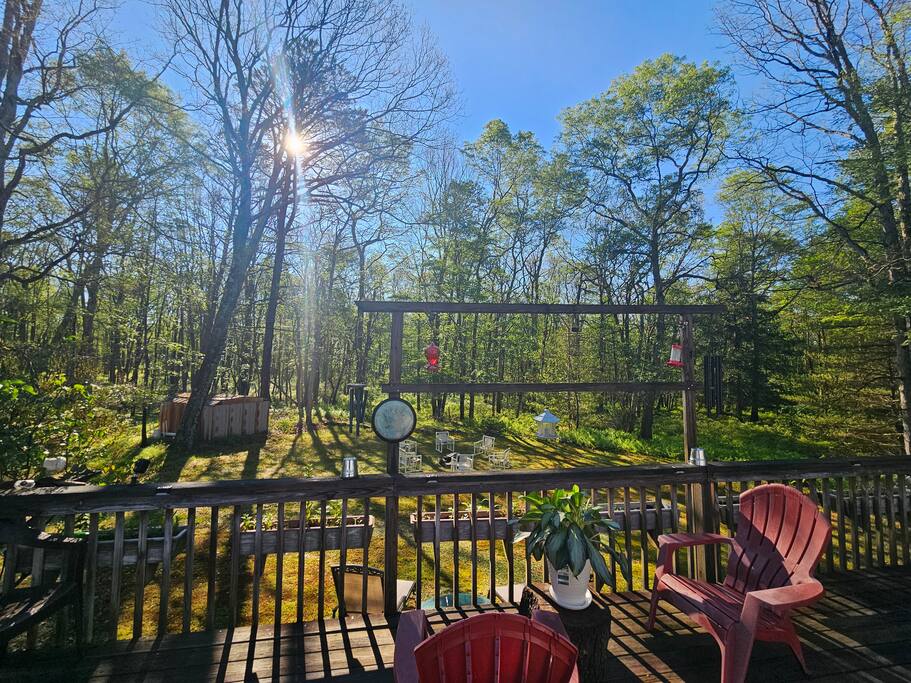 lumberland-lodge-*-nature-escape-+-hiking/