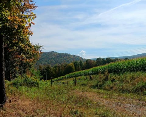 Blue Knob Adventure Townhouse • Hike, Bike & Ski