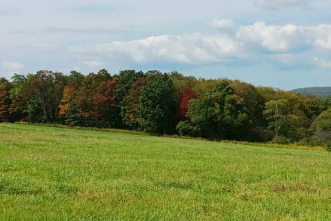 Blue Knob Adventure Townhouse • Hike, Bike & Ski
